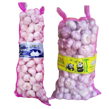 2021 new crop China fresh vegetables Garlic in bulk price China for export